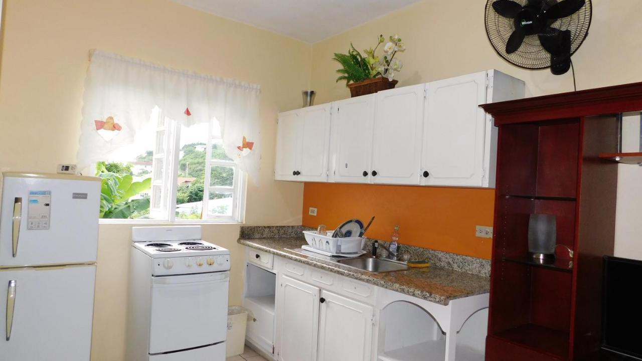 Dancehall Hostel Кингстон Экстерьер фото